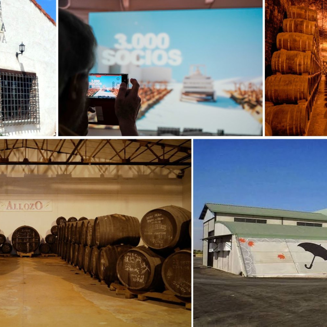 TOMELLOSO Y EL RENACIMIENTO ENOLÓGICO DE LA MANCHA A TRAVÉS DE SUS CINCO BODEGAS MÁS EMBLEMÁTICAS