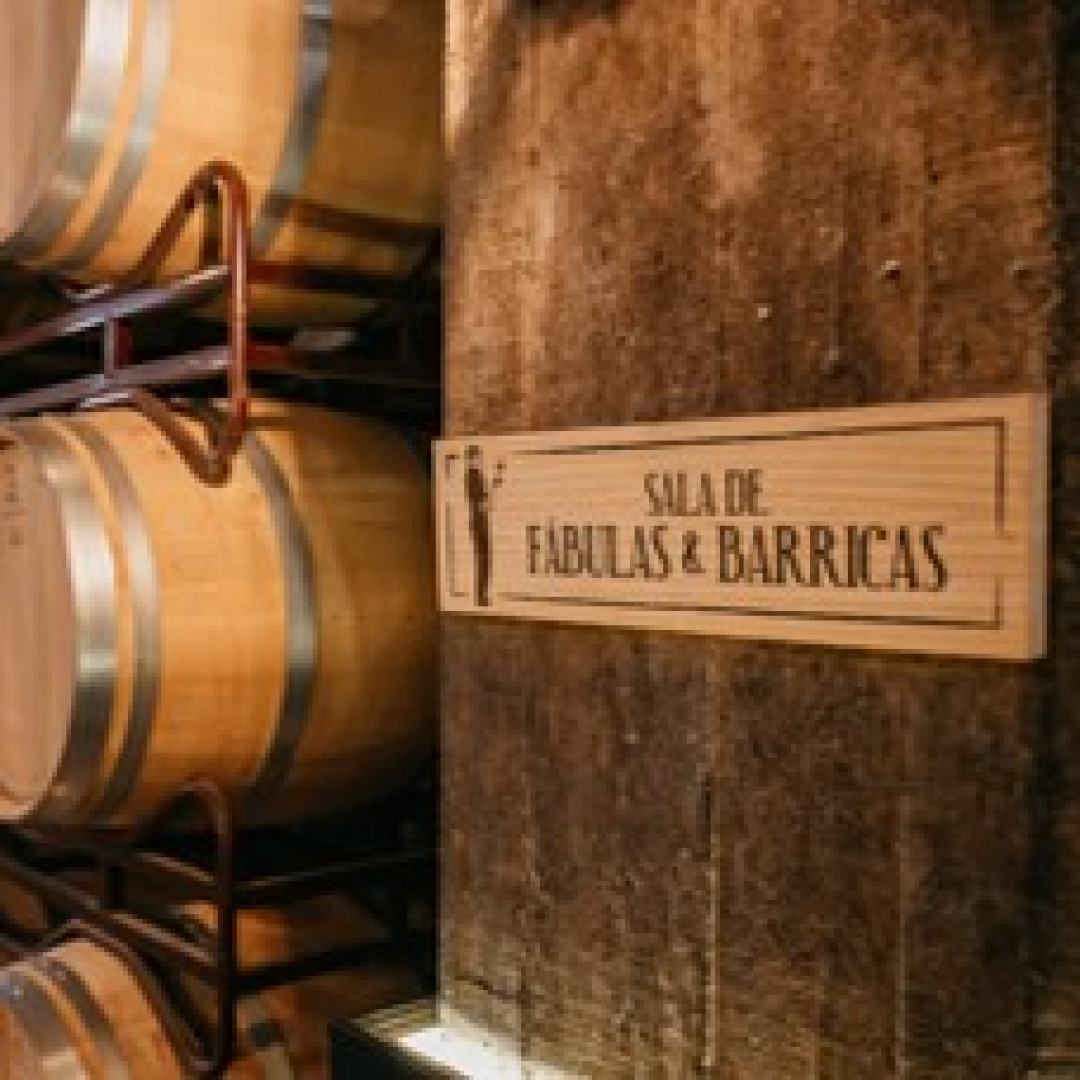 SOLAR DE SAMANIEGO Y LA REDEFINICIÓN DEL ENOTURISMO CULTURAL EN RIOJA ALAVESA