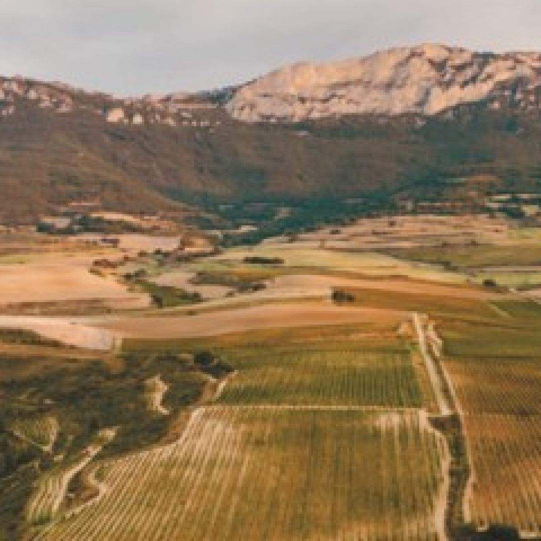 SOLAR DE SAMANIEGO Y LA REDEFINICIÓN DEL ENOTURISMO CULTURAL EN RIOJA ALAVESA